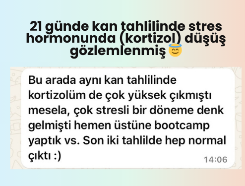 Galeri görseli 2