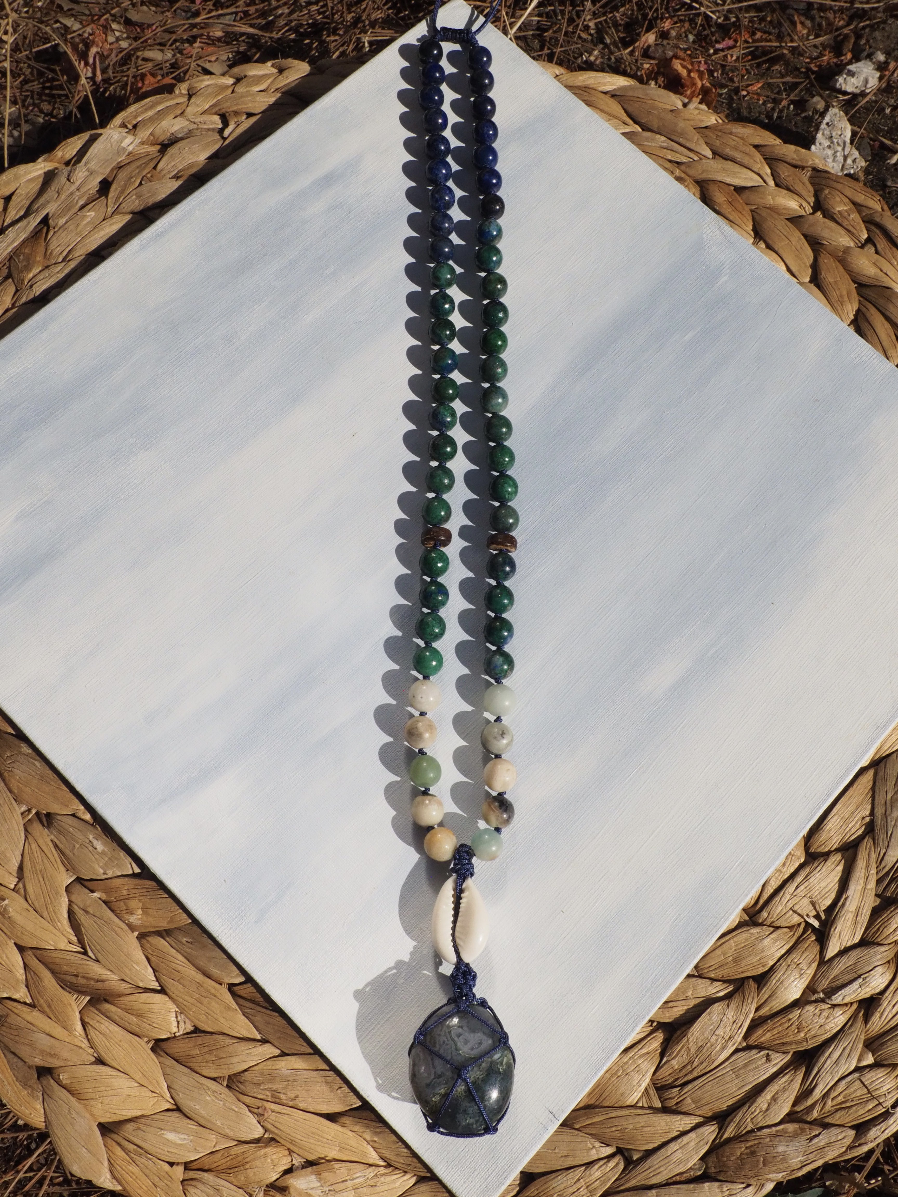 SHELL COLLECTION - Thumbnail 6