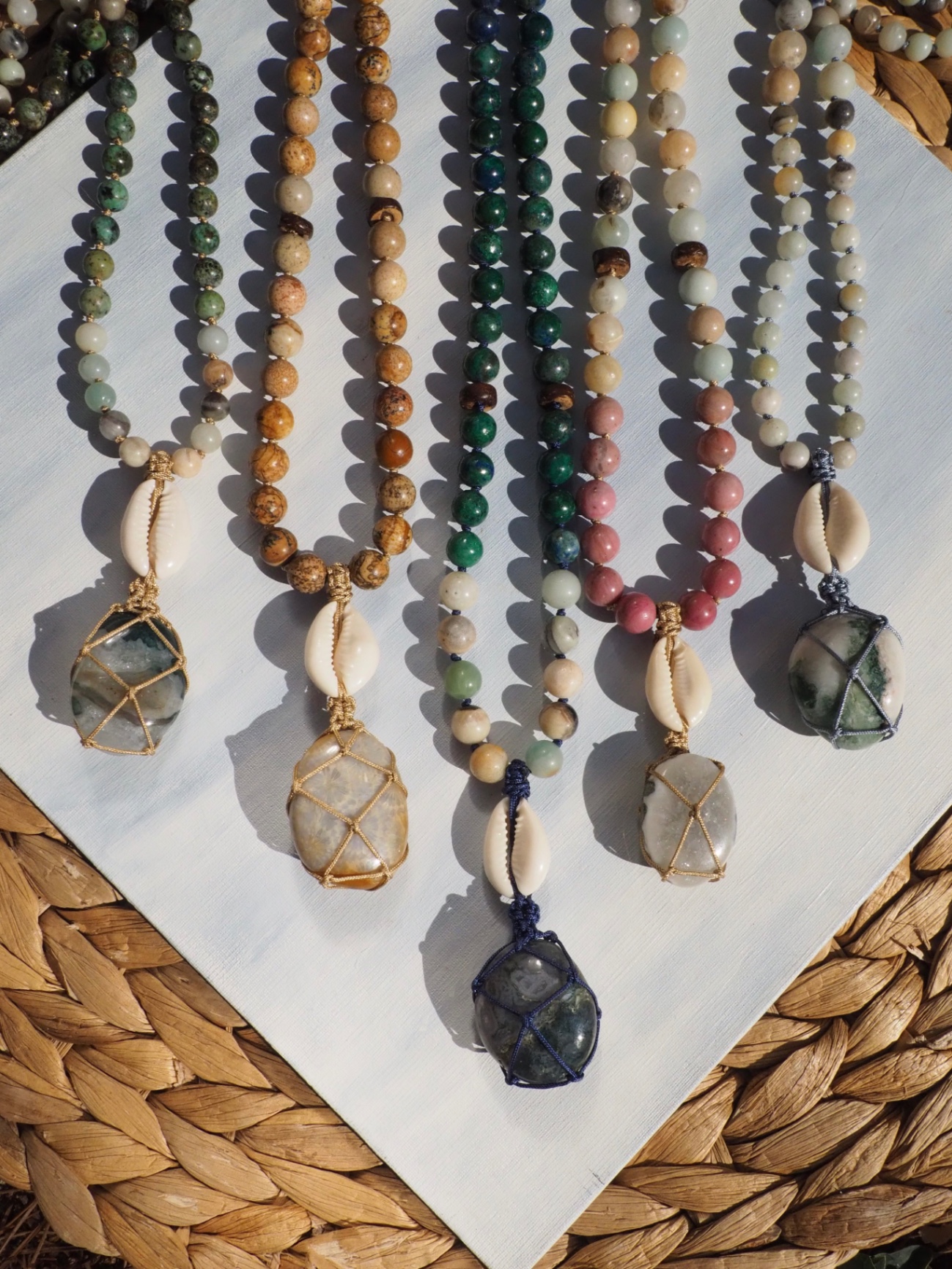 SHELL COLLECTION - Görsel 1