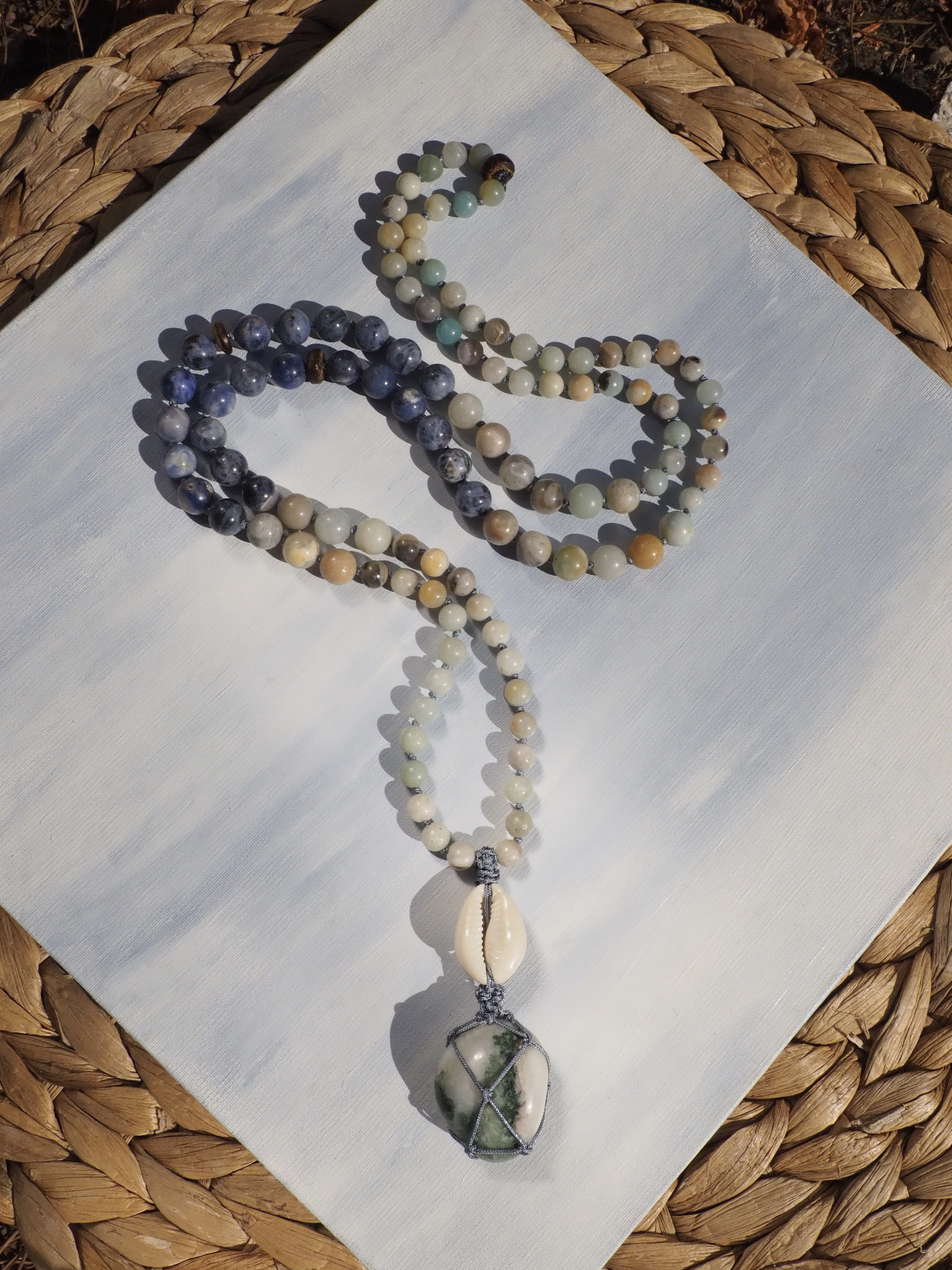 SHELL COLLECTION - Thumbnail 2