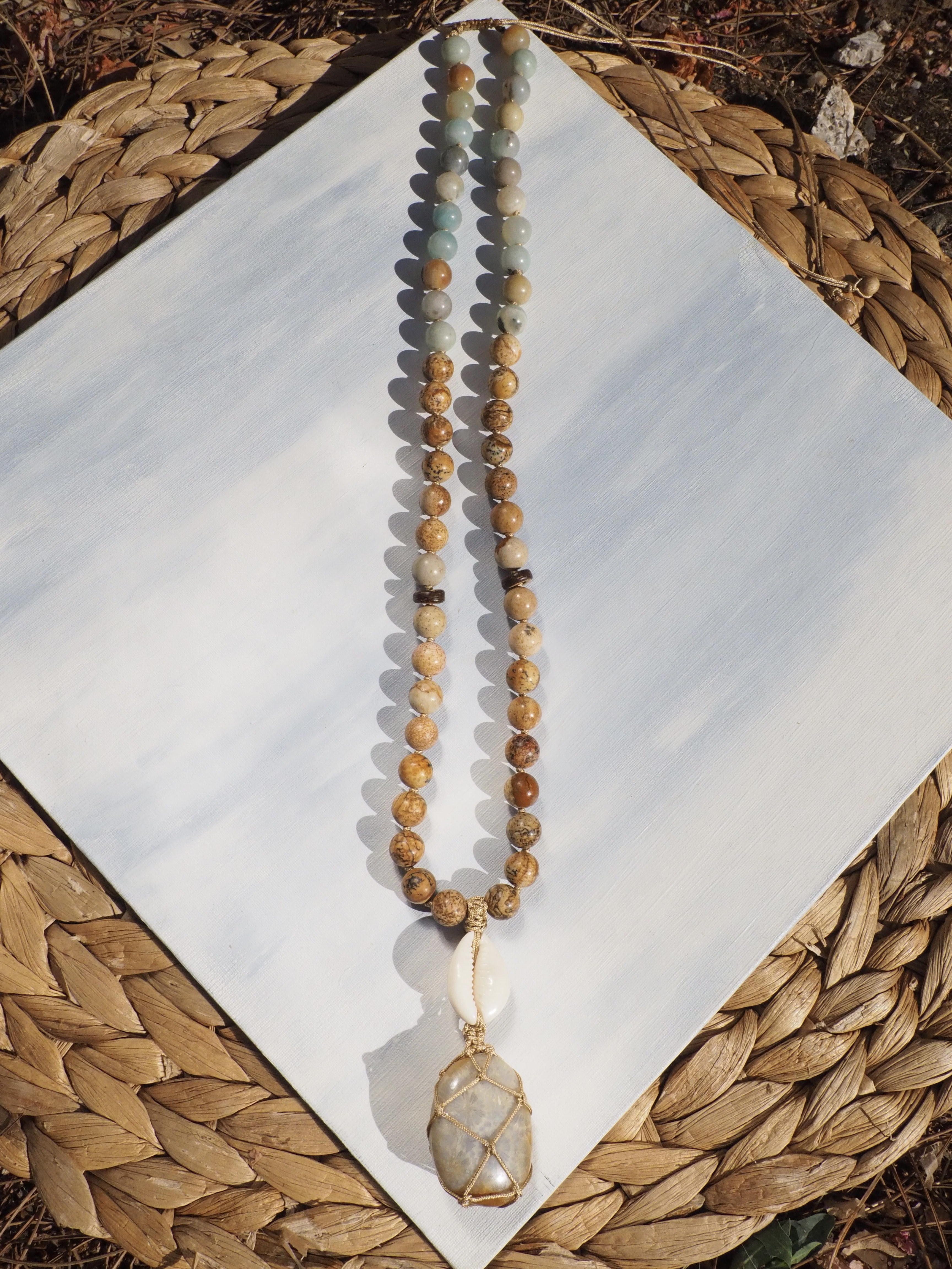 SHELL COLLECTION - Thumbnail 3