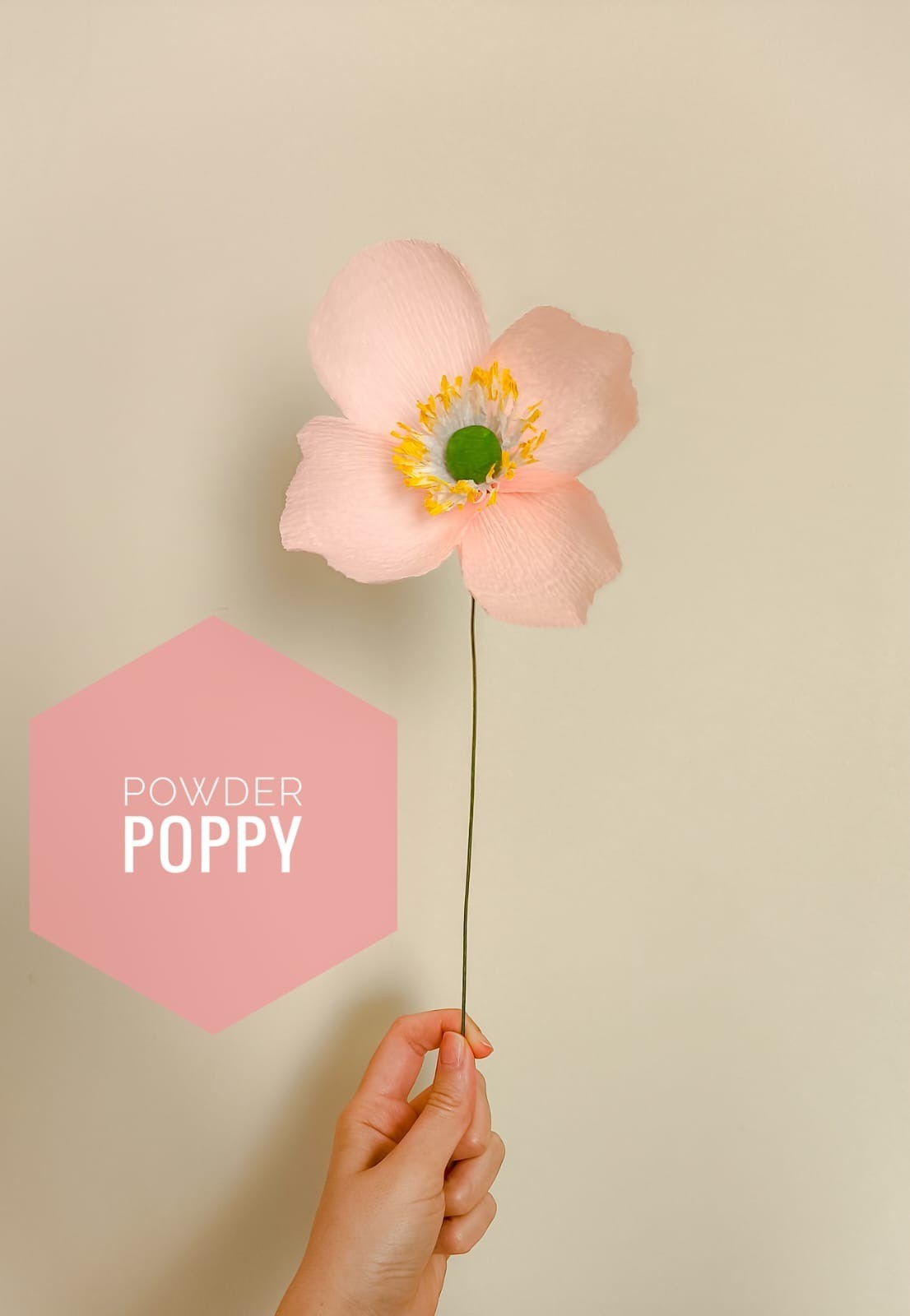 Powder Poppy- Kağıt Çiçek - Görsel 1