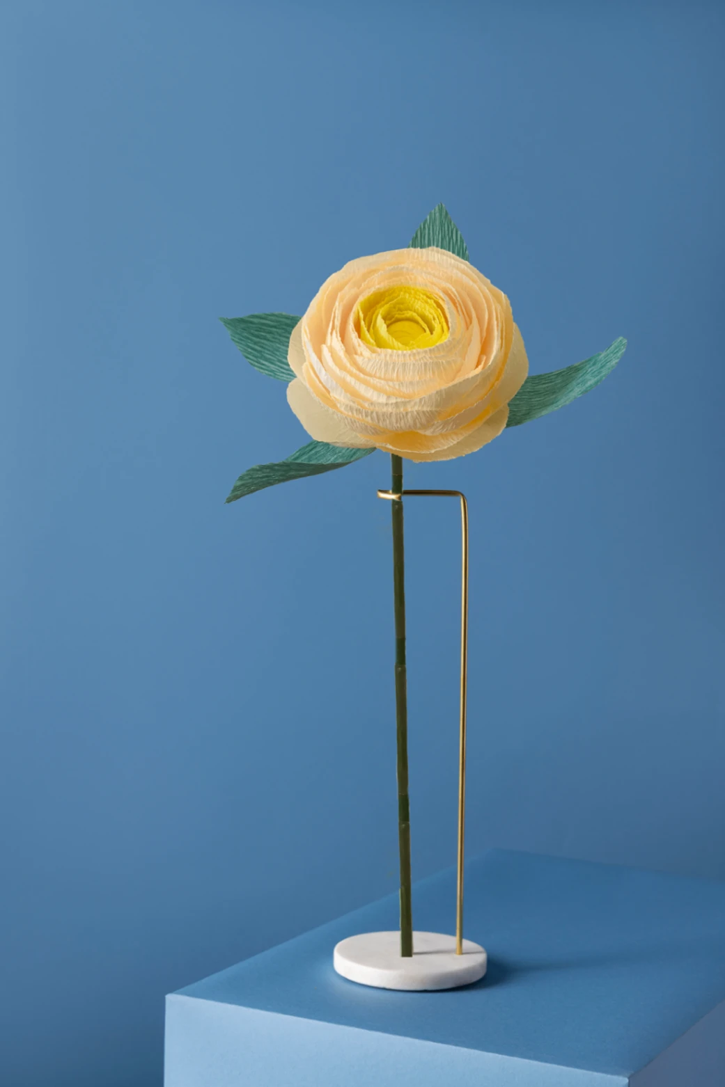 Limon Ranunculus / Kağıt Çiçek