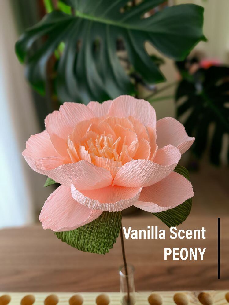 Vanilla Scent Peony/Kağıt Çiçek Sanatı - Görsel 1