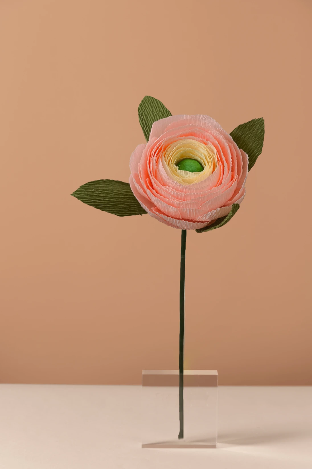 Pudra Ranunculus/ Kağıt Çiçek - Görsel 1