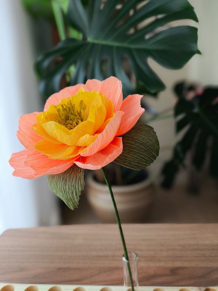 Peach Flavor Peony/ Kağıt Çiçek Sanatı - Thumbnail 3