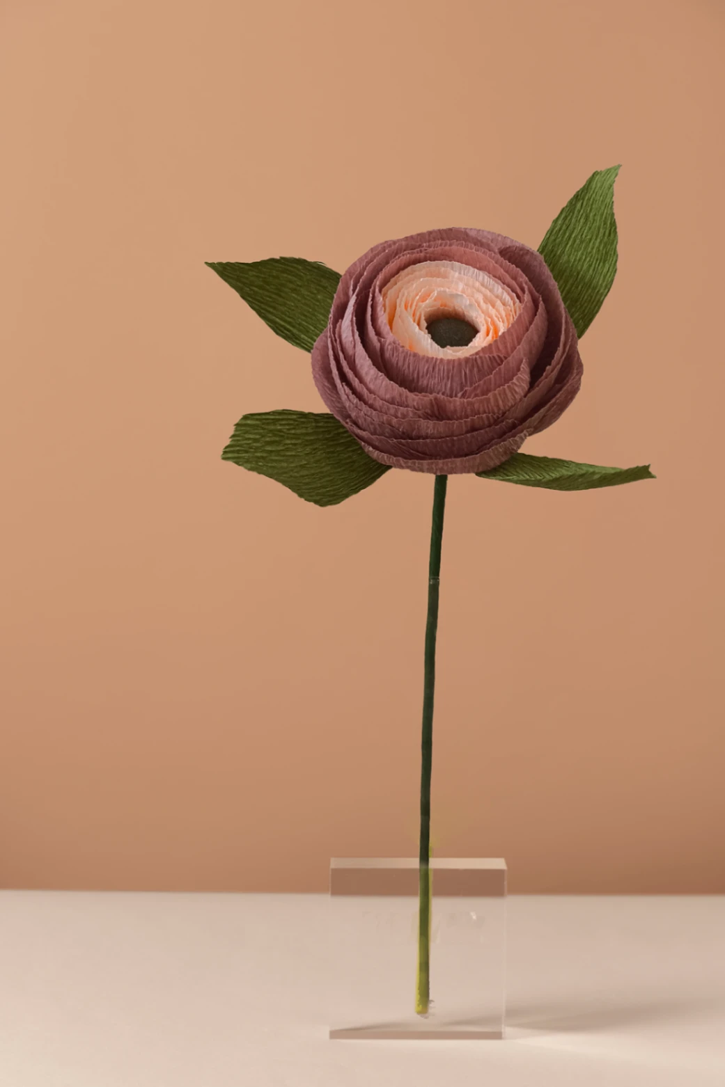 Toprak Ranunculus/ Kağıt Çiçek - Görsel 1