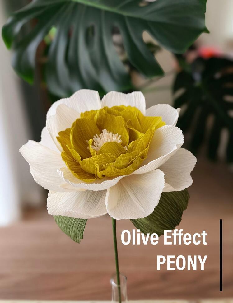 Olive Effect Peony/ Kağıt Çiçek Sanatı - Görsel 1