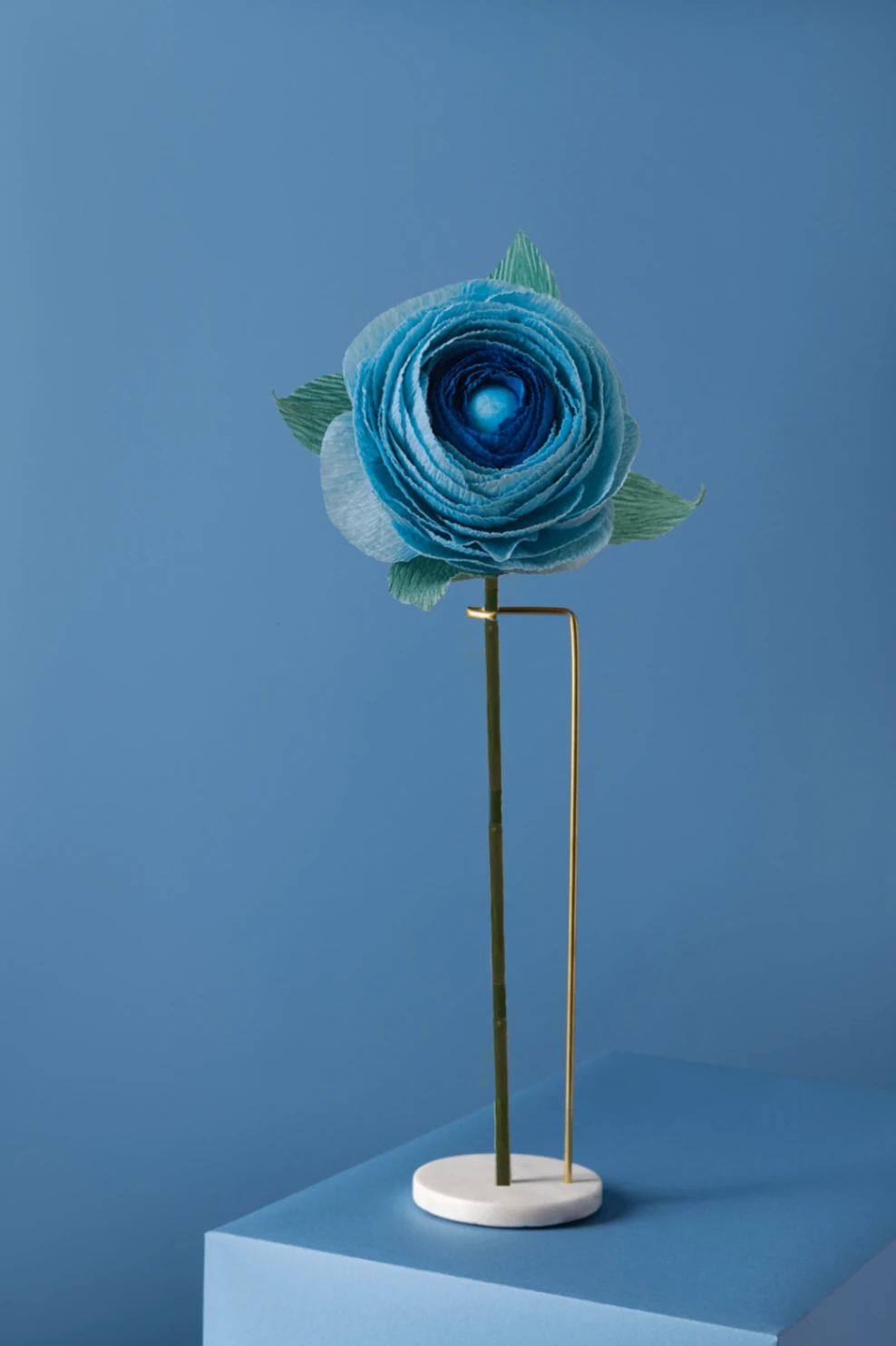 Okyanus Ranunculus/ Kağıt Çiçek