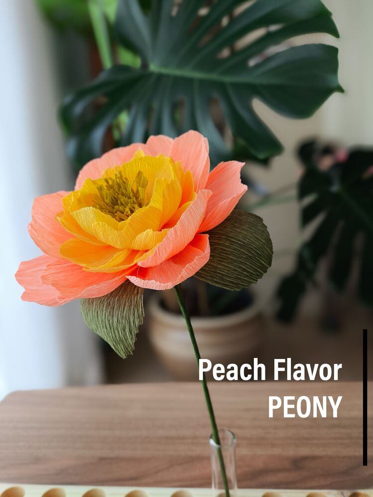 Peach Flavor Peony/ Kağıt Çiçek Sanatı - Görsel 1