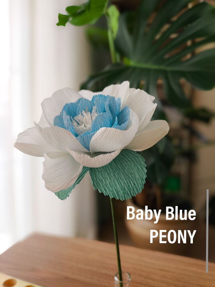 Baby Blue Peony/Kağıt Çiçek Sanatı - Görsel 1