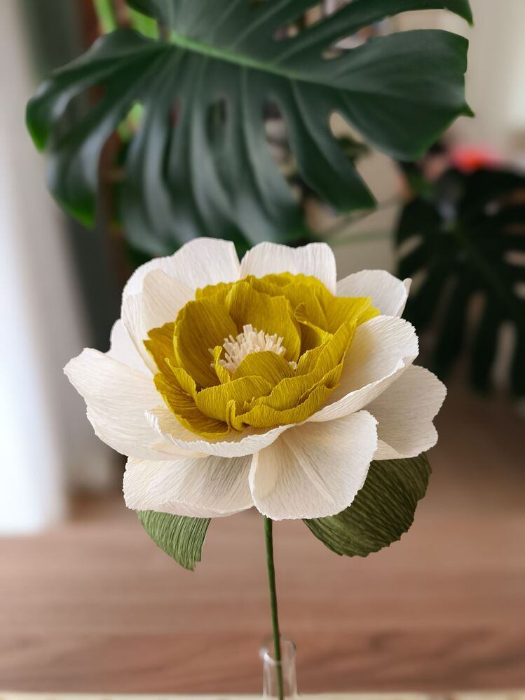Olive Effect Peony/ Kağıt Çiçek Sanatı - Thumbnail 4